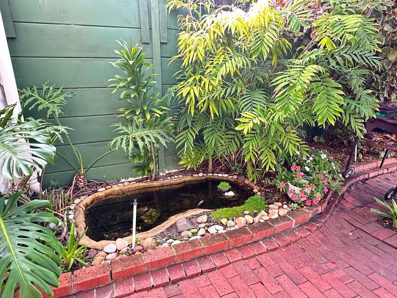 5 Bedroom Property for Sale in Bergvliet Western Cape